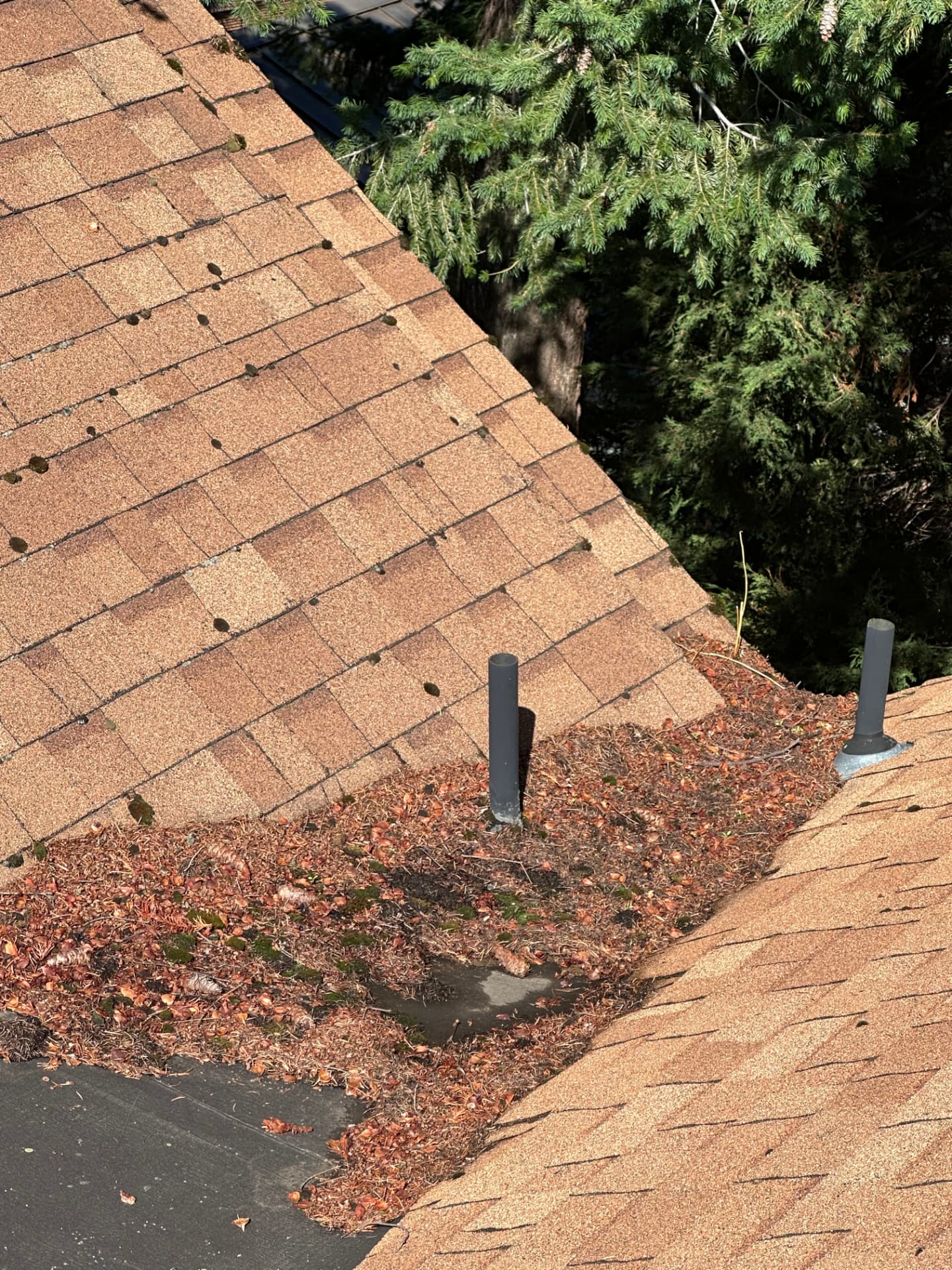 Roof valley clogged with leaves, needles and debris around vent pipes before roof cleaning